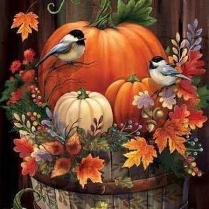 Meet your Posher, Joanne